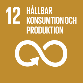 Mål 12